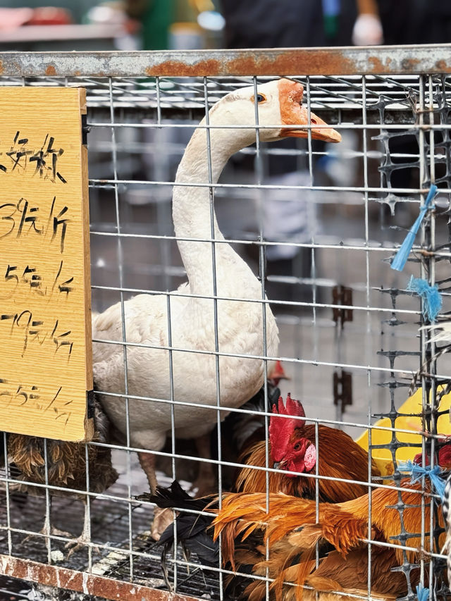 北京出發｜東營2日遊超全攻略