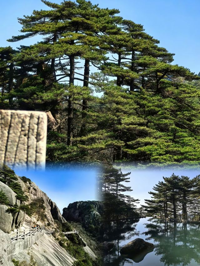 生活點會冇盼頭呢？爬過黃山，成個人都精神曬！