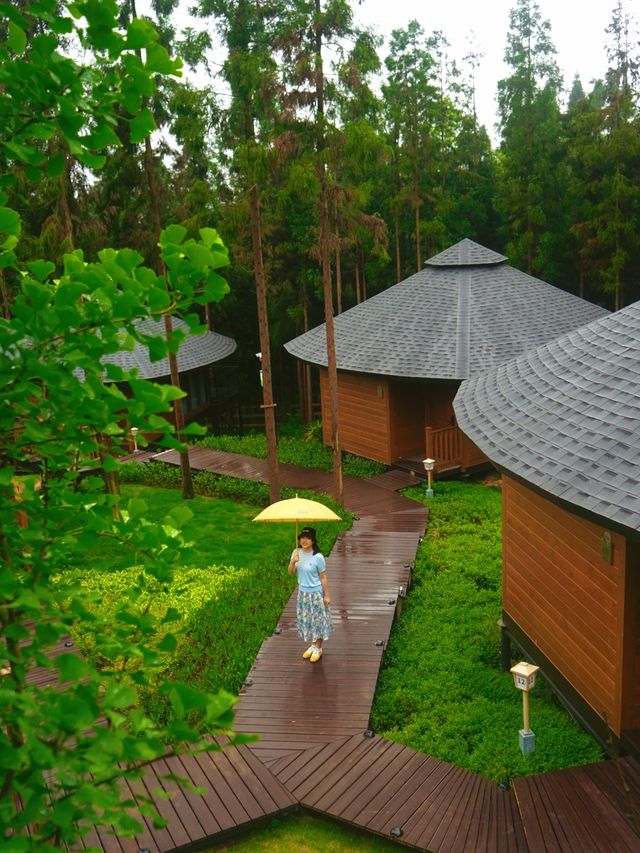 雲端仙居卡莎莎 | 隱於雲海，棲於山靈