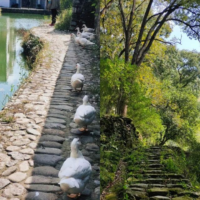 埭頭古鎮