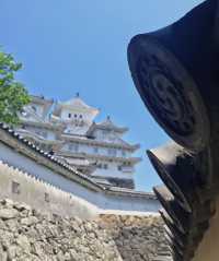 日本行·神戶周邊姬路城。
藍天下如白鷺高飛