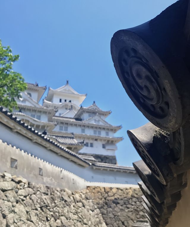 日本行·神戶周邊姬路城。
藍天下如白鷺高飛
