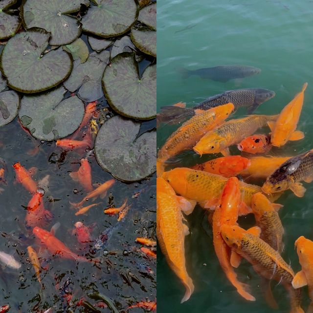 打卡烏鎮啦～
