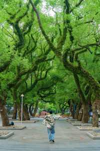 佛山真係好chill…願意去一萬次嘅生命力公園