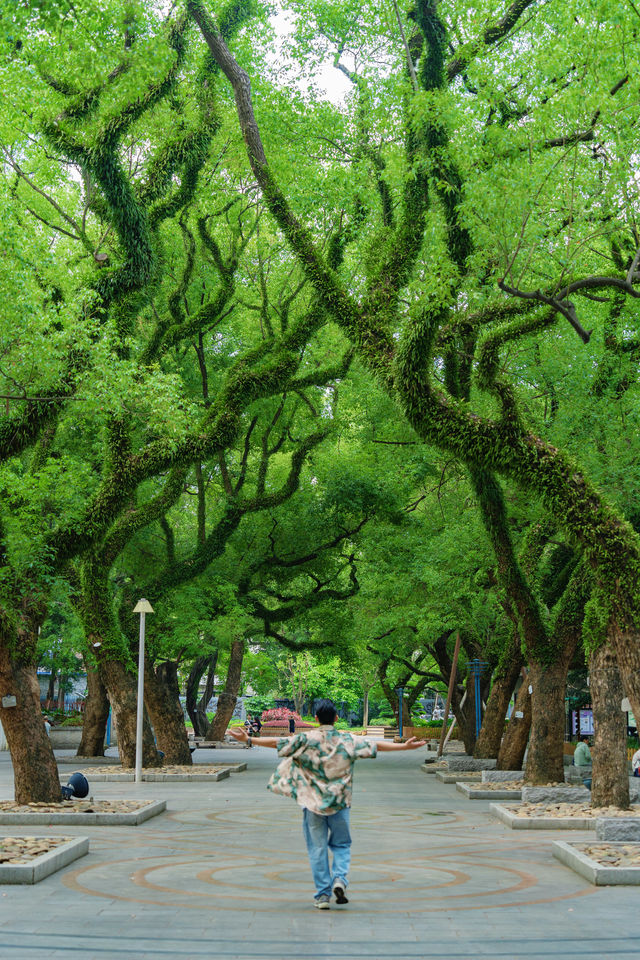 佛山真係好chill…願意去一萬次嘅生命力公園
