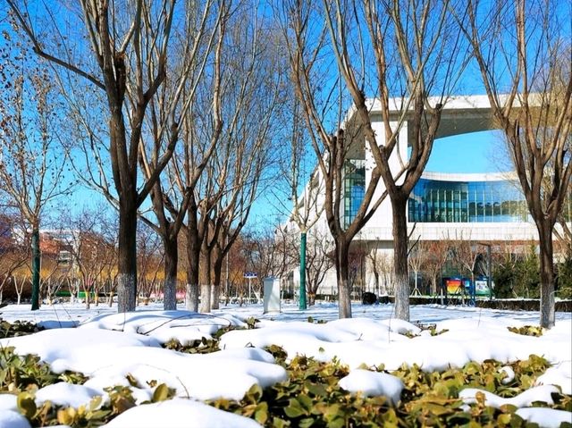 East Lake (东湖) / Dongli Lake Area