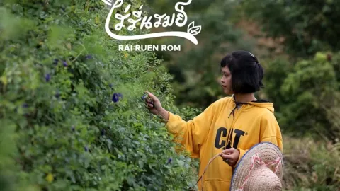 ฟาร์มสเตย์อินทรีย์ ไร่รื่นรมย์ จ.เชียงราย — traveler post in อำเภอ เทิง