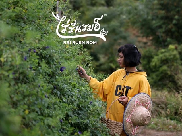 ฟาร์มสเตย์อินทรีย์ ไร่รื่นรมย์ จ.เชียงราย