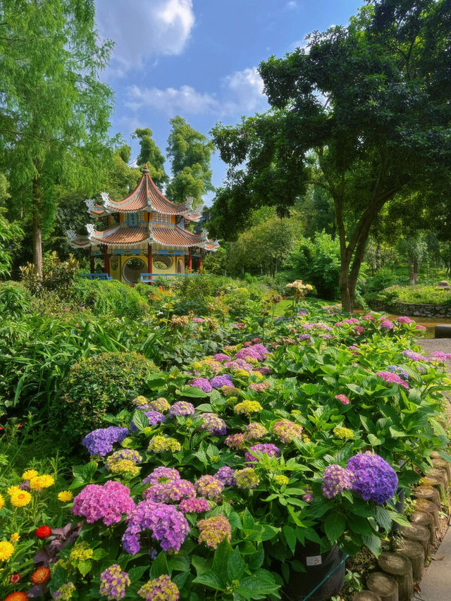 救命！！在武漢誤闖愛麗絲仙境花園💐實況live美到窒息😭