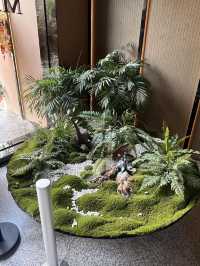 嚟西雙版納直接衝覓度！！