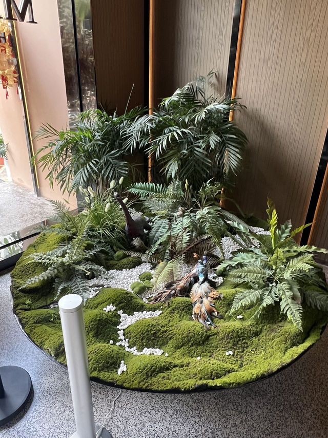 嚟西雙版納直接衝覓度！！
