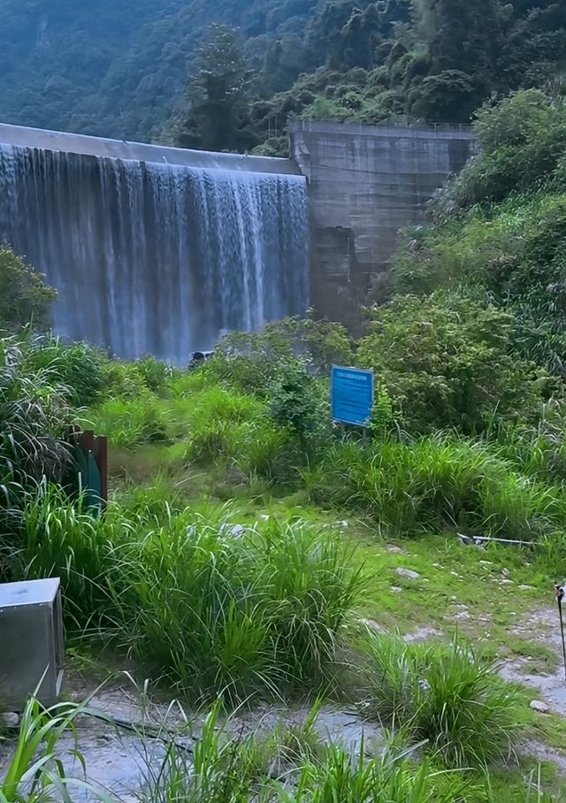 救命！溫州竟然隱藏咗個「野生瀑布宇宙」，99%本地人都唔知！