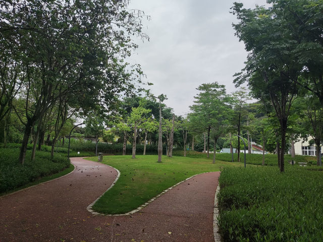 深圳時光，蔚徕酒店的精緻邂逅