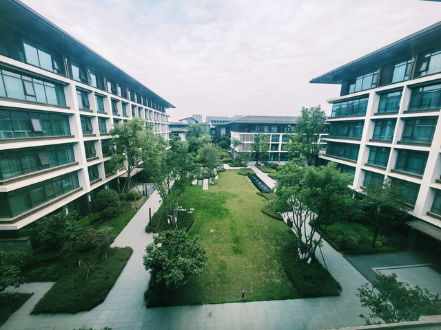 一個人旅行唔孤單，成都嘅五星級天堂