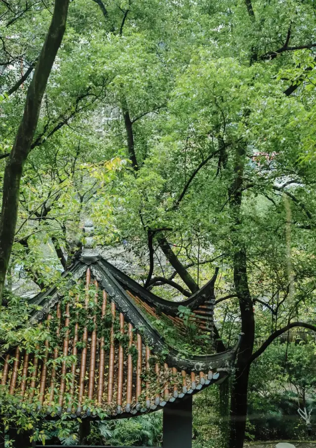 คุนหมิงซีซาน