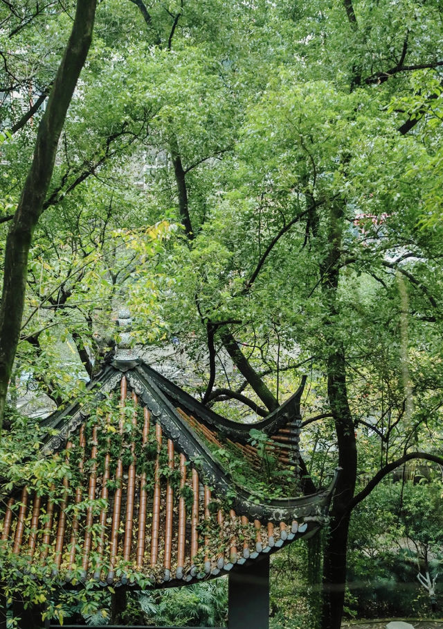 昆明西山