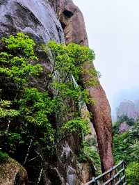 三清山雨天遊山攻略