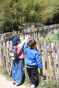 懶人式湊仔好去處——紫清湖旅遊區