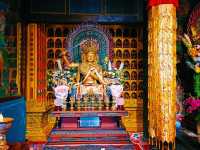 From Bunk Beds to Butter Lamps: A Night Inside Kumbum Monastery