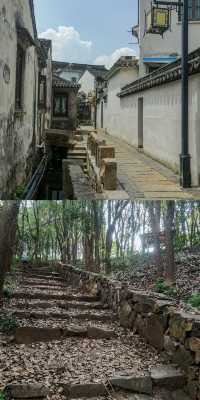每周一山 | 莫厘峰小環線徒步攻略：清涼夏日走起！
