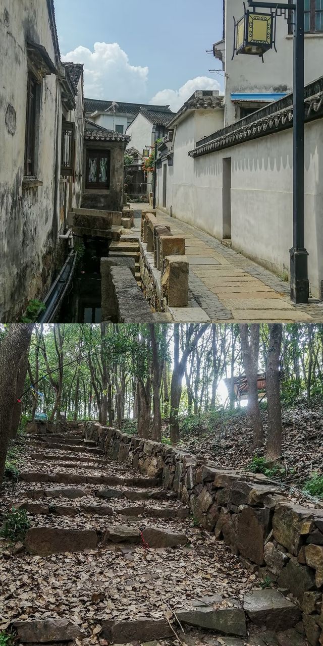 每周一山 | 莫厘峰小環線徒步攻略：清涼夏日走起！