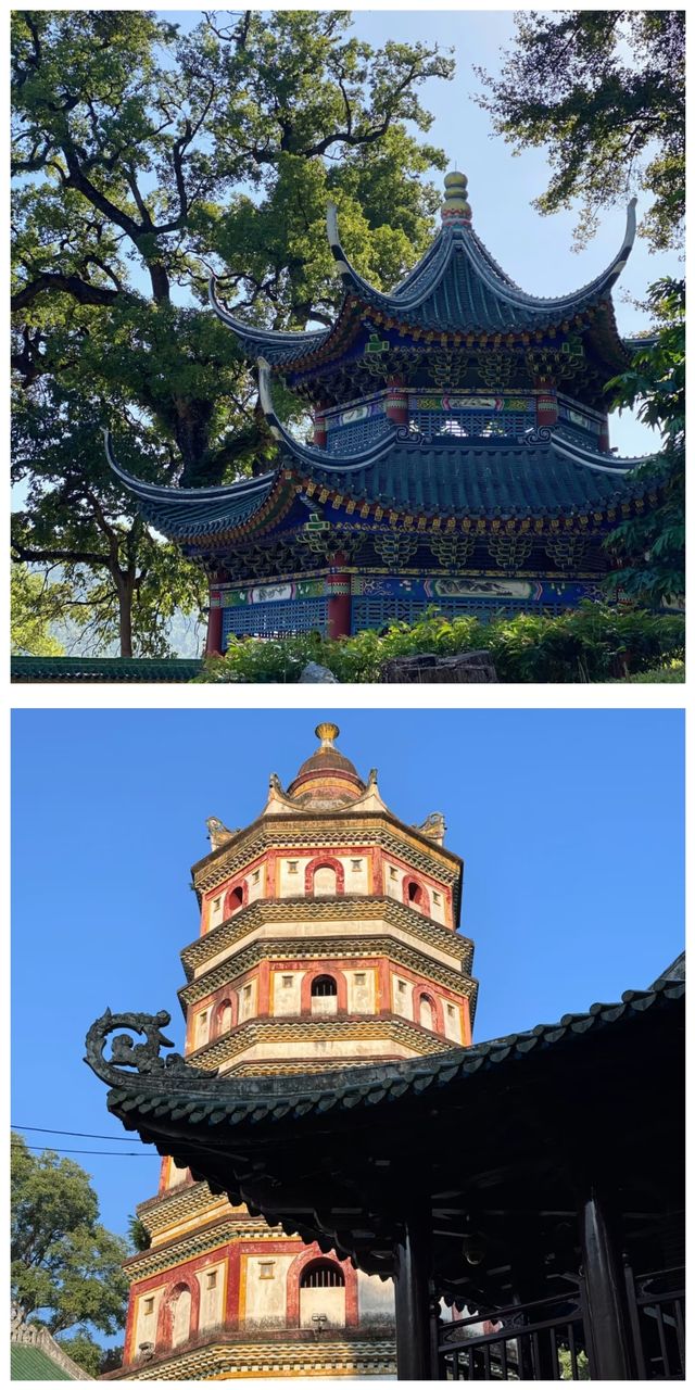 想去韶關嘅寶寶睇呢度～