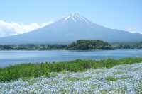 日本｜河口湖 天氣晴