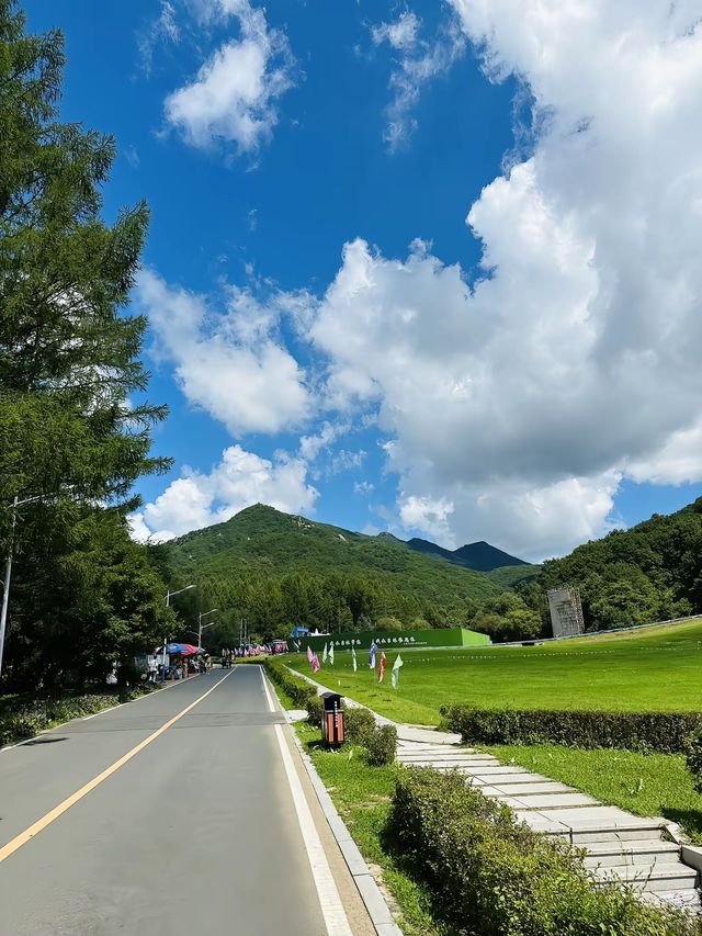 霧中朱雀山的靜謐與孤寂