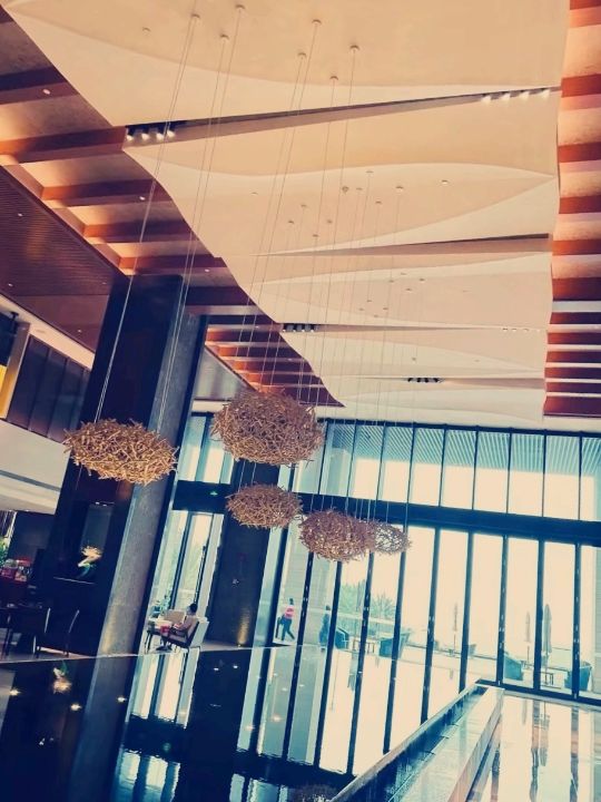 深圳桔釣沙萊華酒店：無邊泳池擁抱碧海藍天