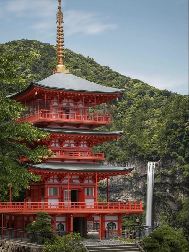 熊野古道｜遇見神明散步嘅森林