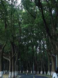 常熟｜虞山腳下環湖單車遊