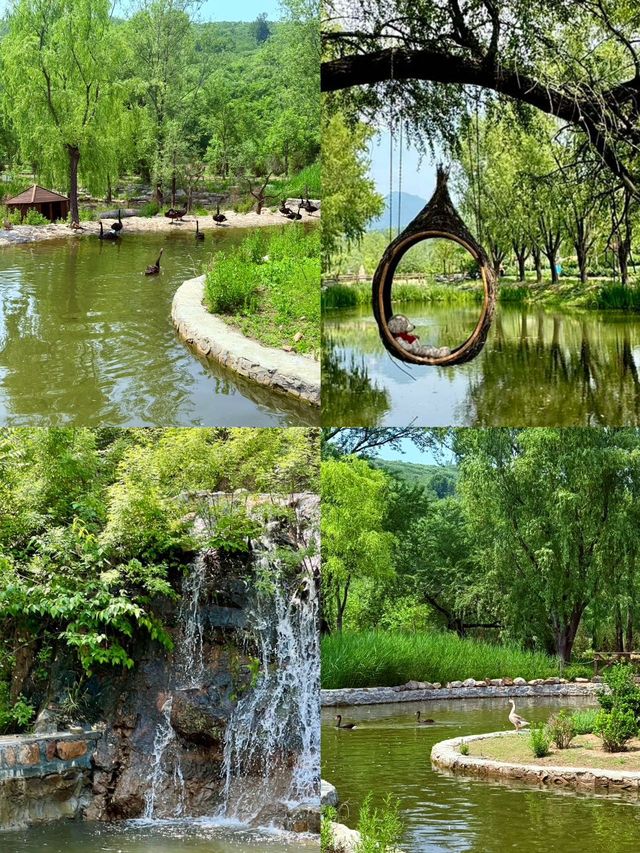 天津湊仔好去處 | 端午小長假，全家出遊首選！