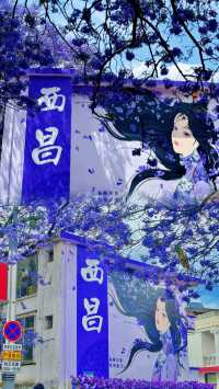 川西．西昌藍花楹嘅浪漫，你確定唔嚟睇下？
