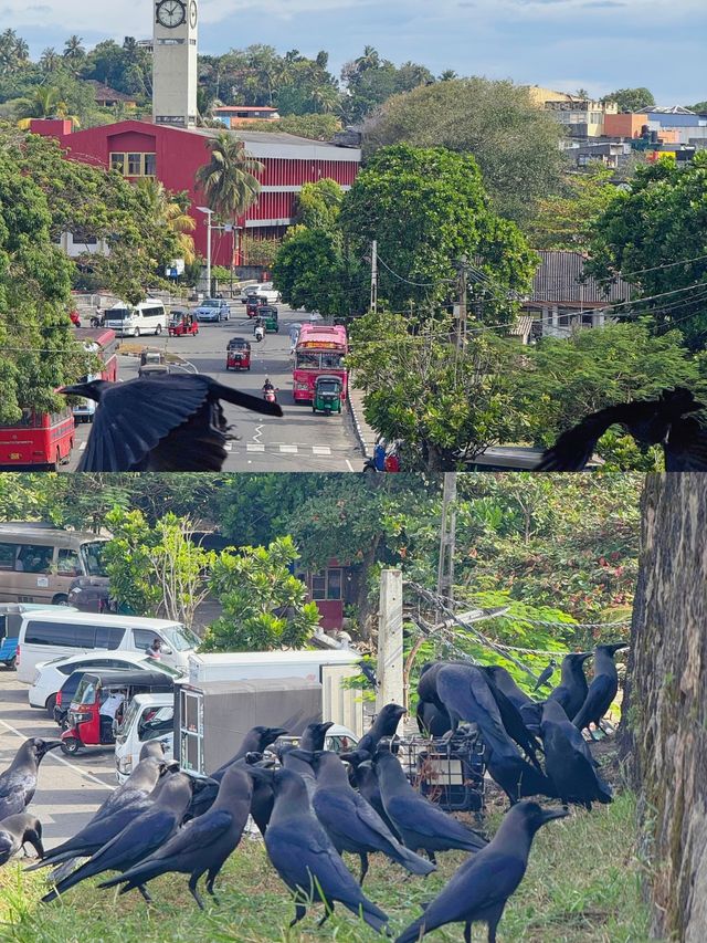 玩轉加勒古堡歷史遺跡打卡、美食住宿全指南