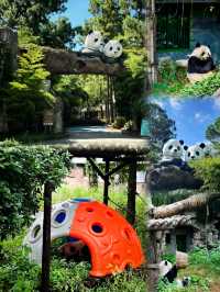 湖州•安吉｜畢業季超好玩的旅行充滿美好回憶