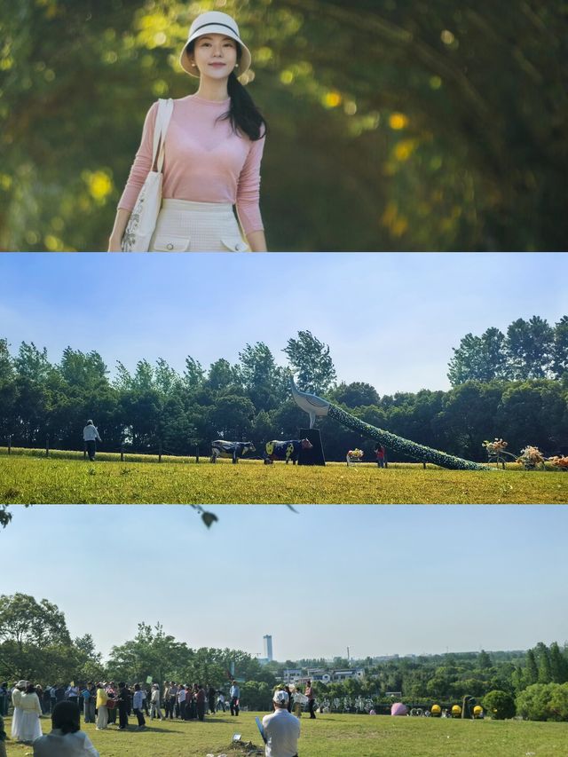 救命！六月揚州將浪漫值拉滿咗