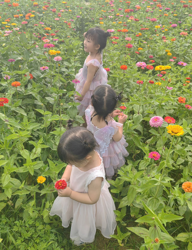 遵義海龍七彩莊園｜我的戶外減壓好去處！
