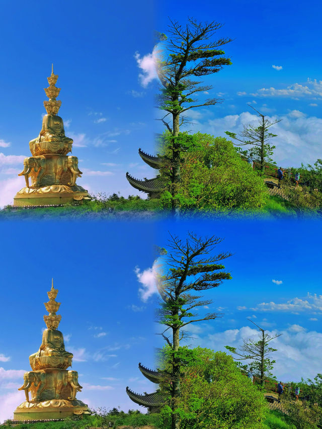 人生建議：一定要去一次峨眉山睇雲上金頂！！