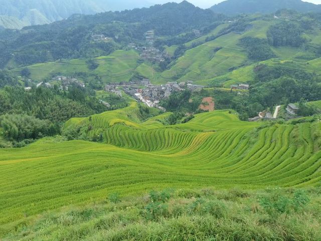 廣西桂林漓江-陽朔-龍脊梯田全景攻略