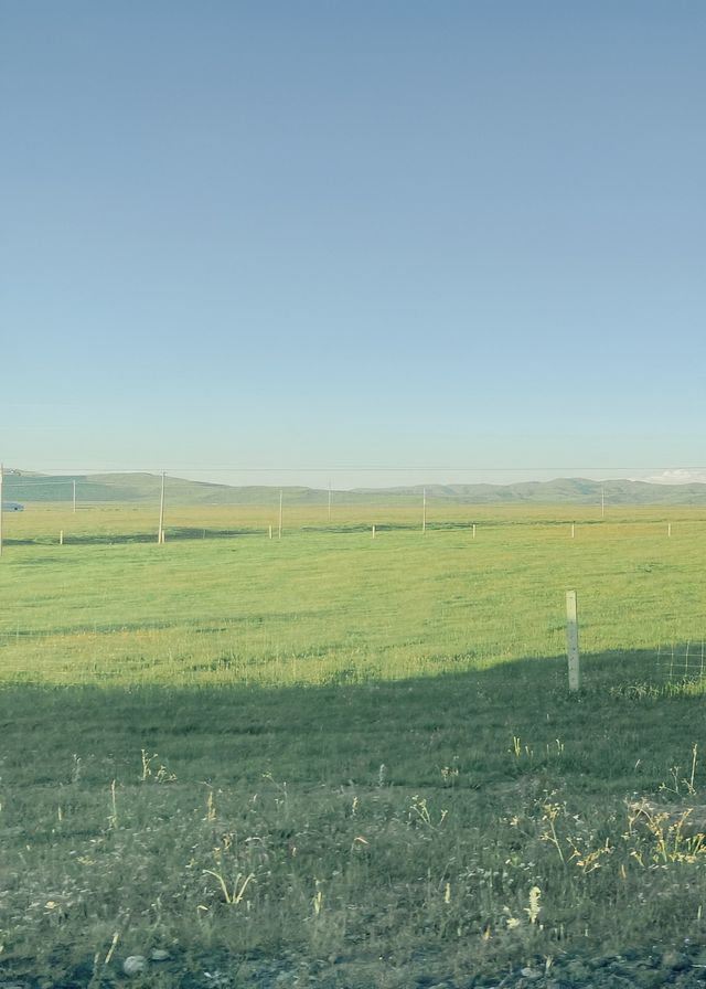 川西｜關於草原嘅夏日瞬間（隨機附錄我嘅寶藏自駕三日攻略路線）