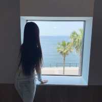 🌊炸裂！大阪臨空城驚現果凍海，關西機場旁的視覺暴擊