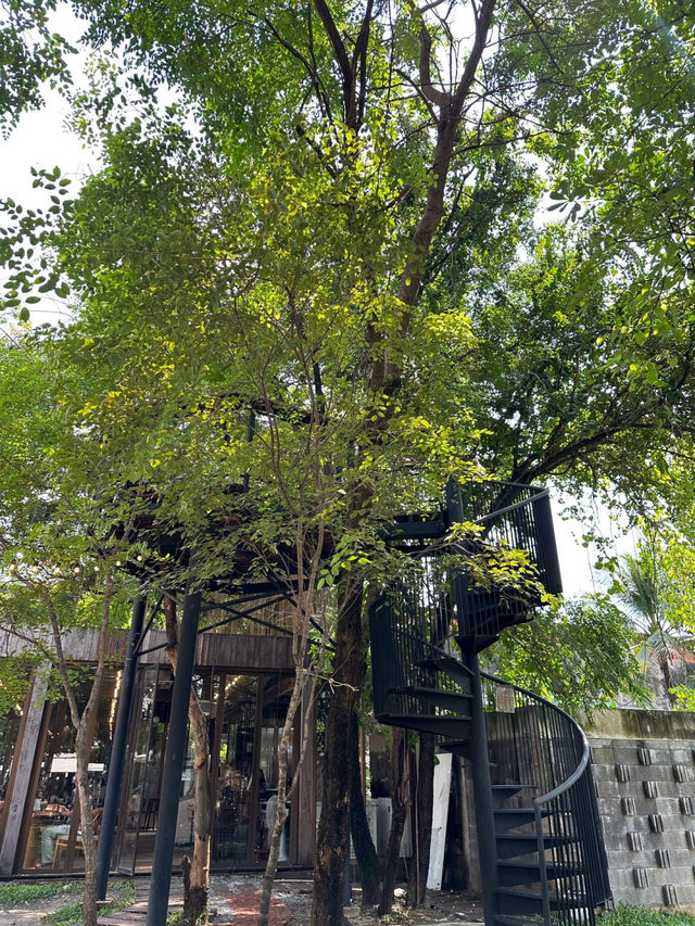 曼谷Onnut這間咖啡館☕️ 我能待上一輩子