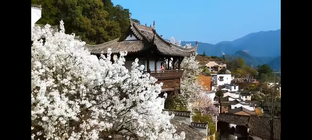 邂逅篁嶺，赴一場夢幻的田園之約   踏入篁嶺，彷彿穿越時空，走進了一幅被歲月珍藏的江南畫卷。連綿的山