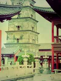 *【穿越千年的禪意：鎮國寺靜心之旅】** 