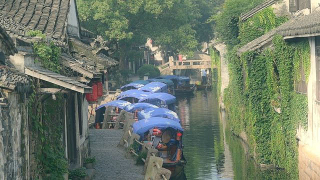 江南水鄉周莊古鎮｜上海周邊暑假湊仔省心版