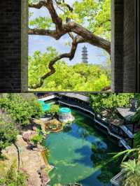 溫州驚現「抹茶湖」！夏日限定青綠秘境，漢服打卡一流