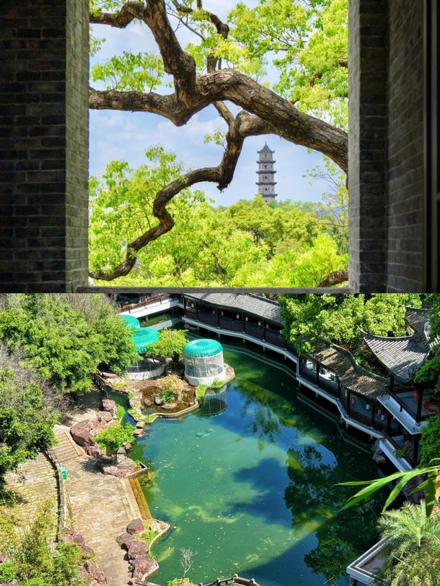 溫州驚現「抹茶湖」！夏日限定青綠秘境，漢服打卡一流
