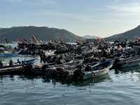 廣東汕尾旅遊攻略