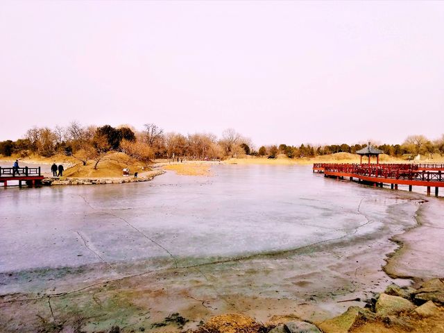 Winter's Echo: A Haunting Journey Through Beijing's Old Summer Palace