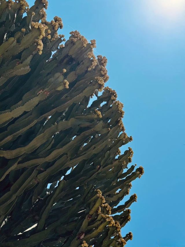 打卡地中海版重慶，喺卡利亞里舊城體驗魔幻現實